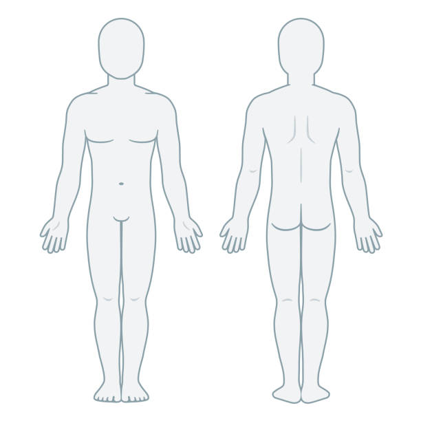 Por favor marque las áreas en el diagrama con las siguientes letras para describir sus síntomas