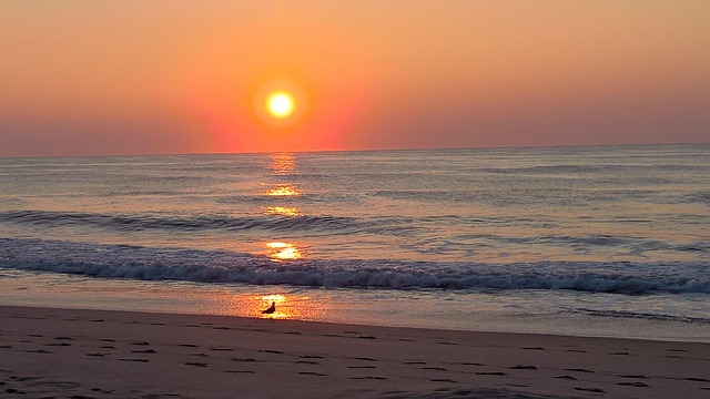 Why Choose Optimal Care Chiropractic?