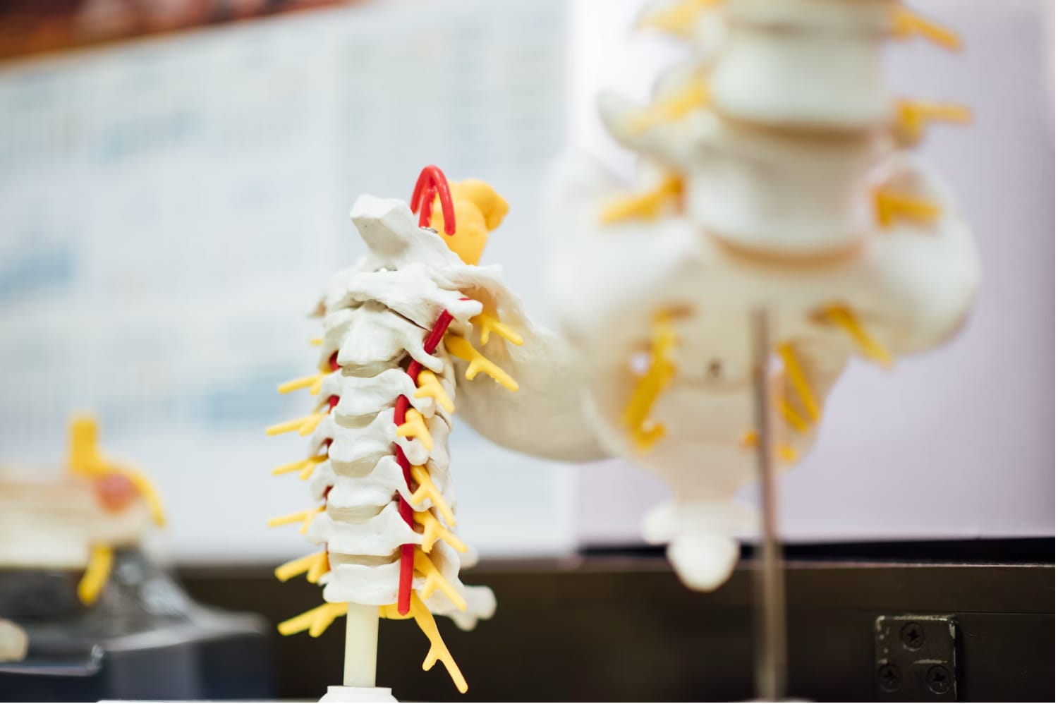 Chiropractic