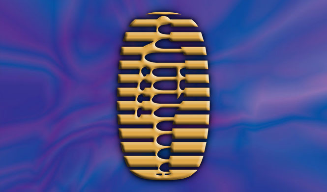 NEUROPATHOLATOR