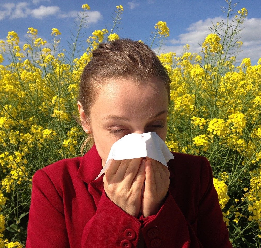 How-To Guide to Solve Your Allergies