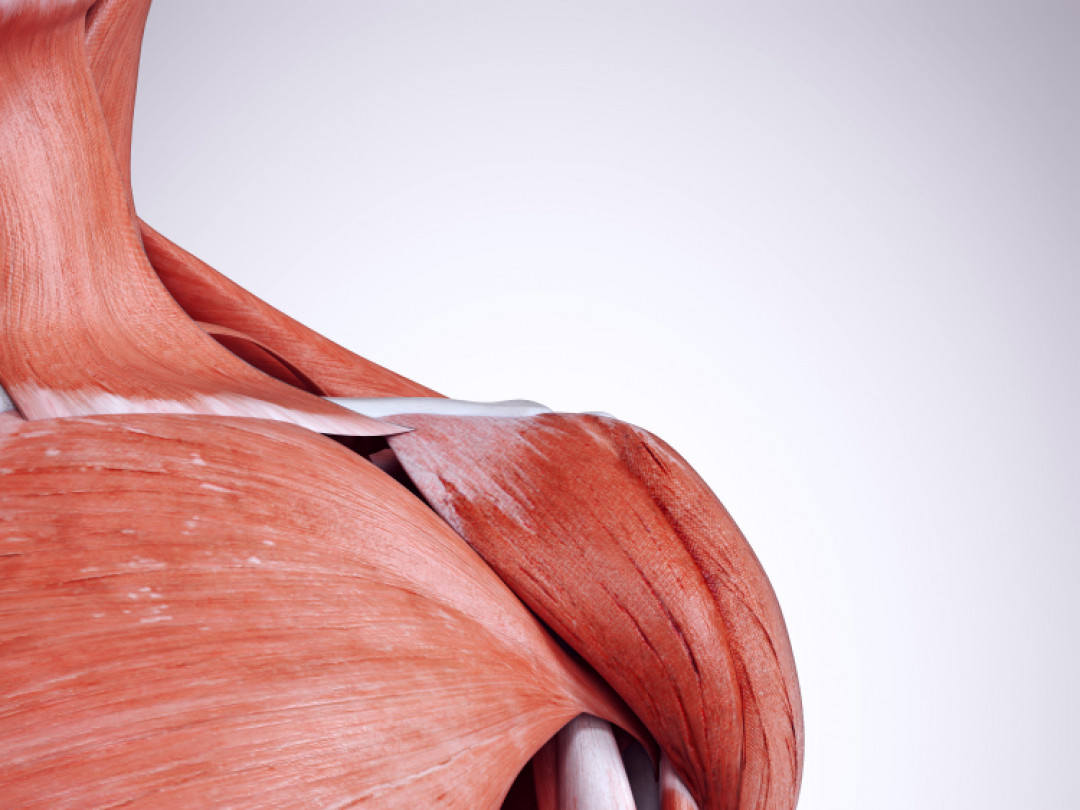 Electric Stimulation Therapy