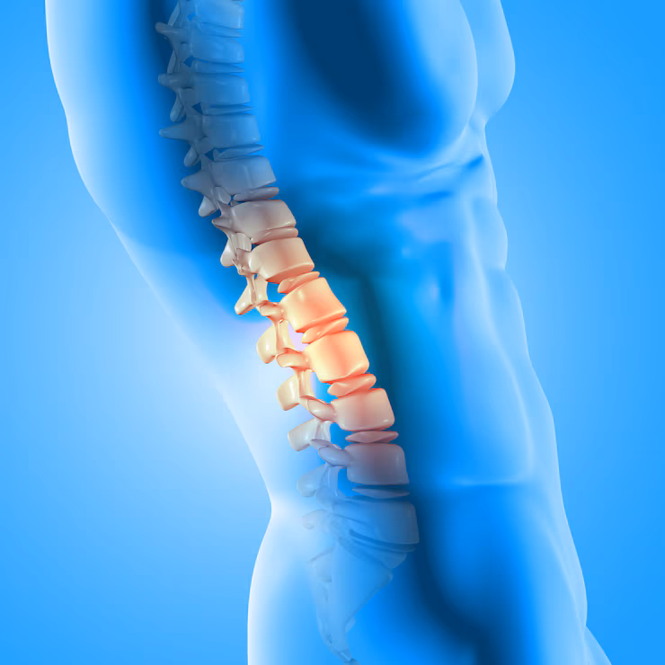 Spinal Adjustment vs Painkillers: Different Goals