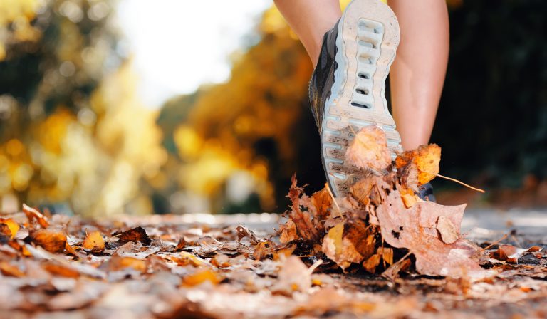 Physical Rehabilitation and Exercise