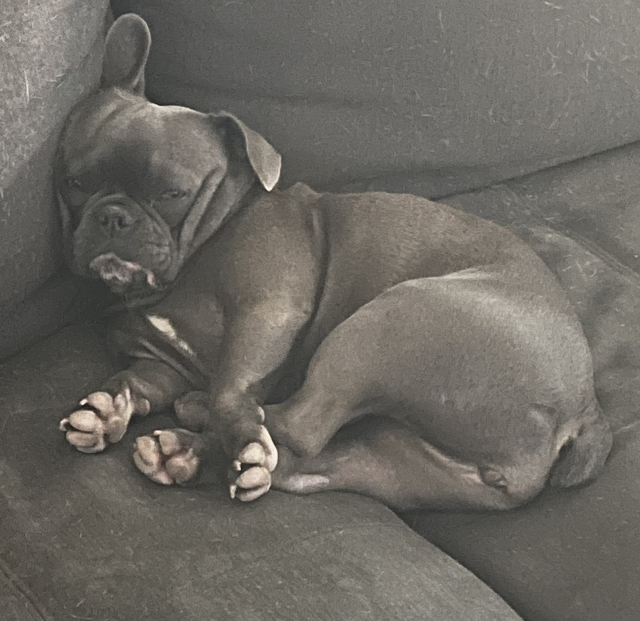 Pillow Recommendations