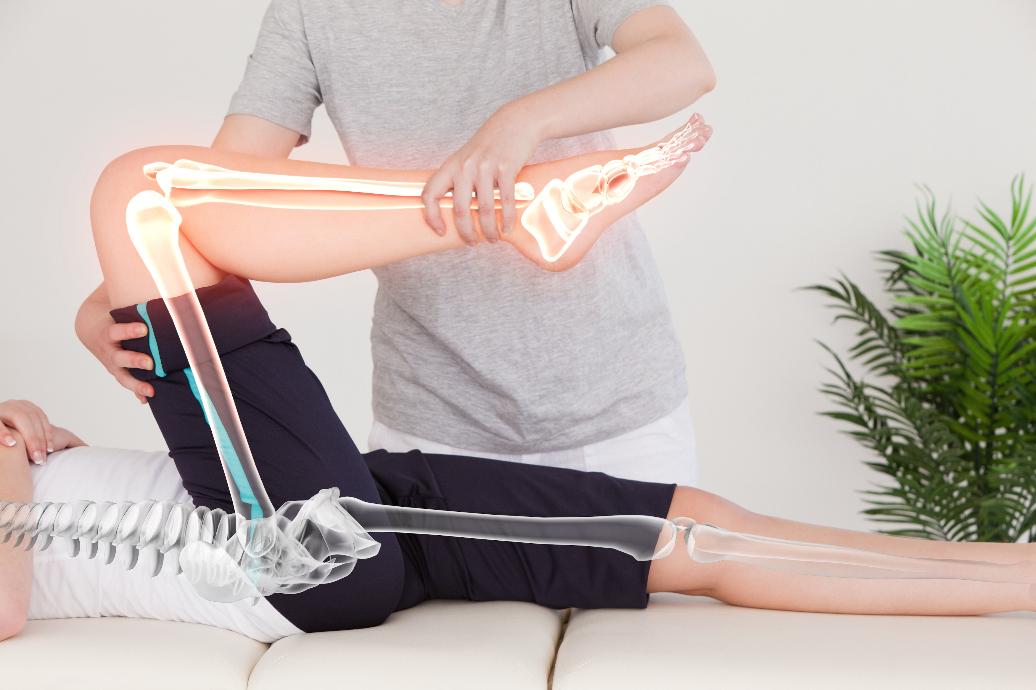 Chiropractic Services
