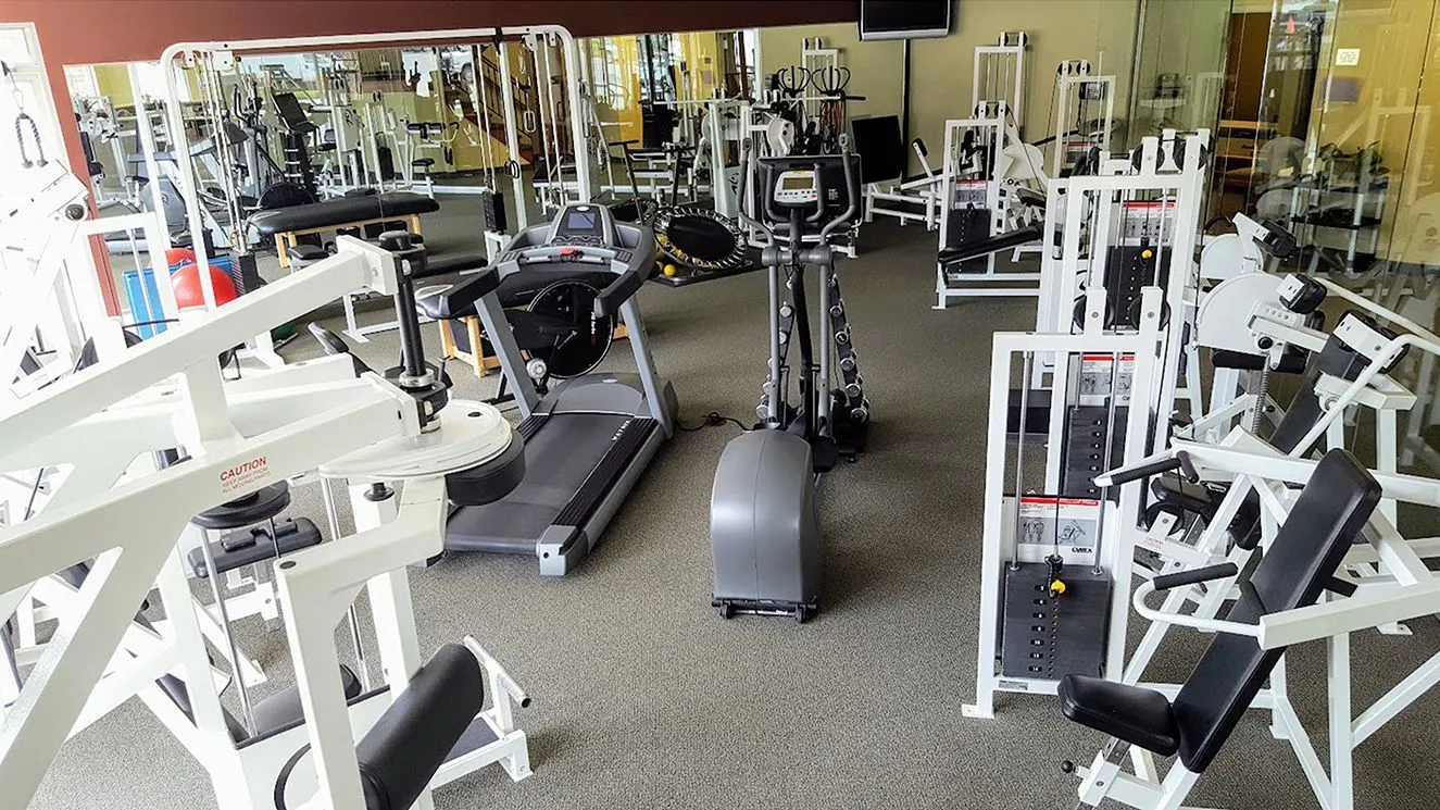 Physical Therapy