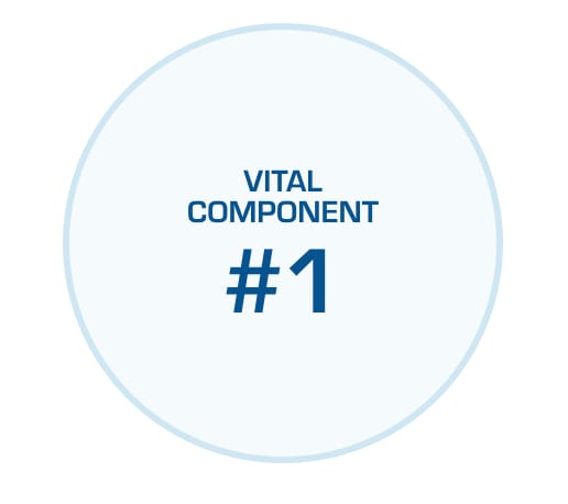 THERE ARE 4 VITAL COMPONENTS TO OUR NEUROPATHY PROTOCOL