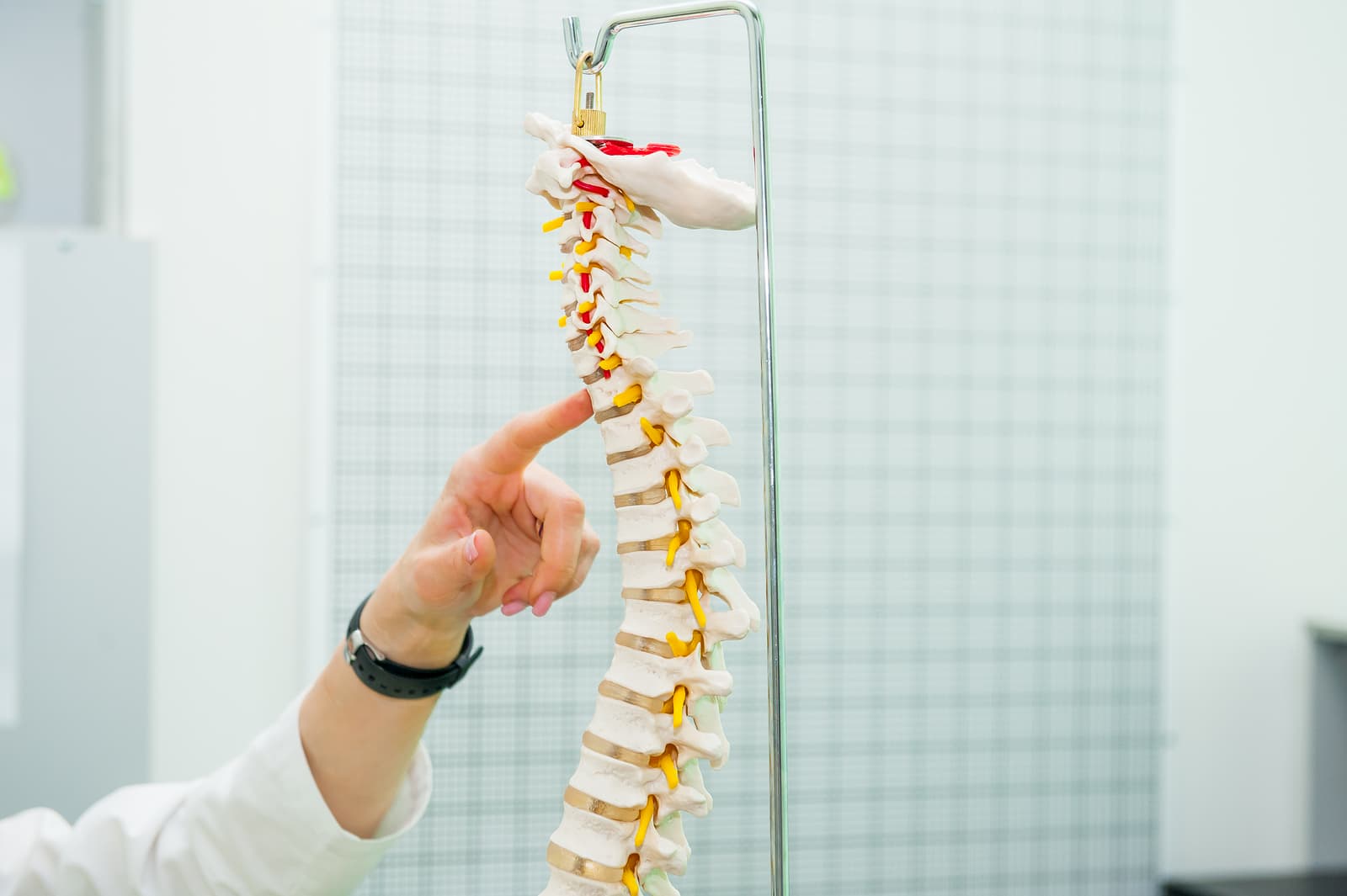 Chiropractic Philosophy