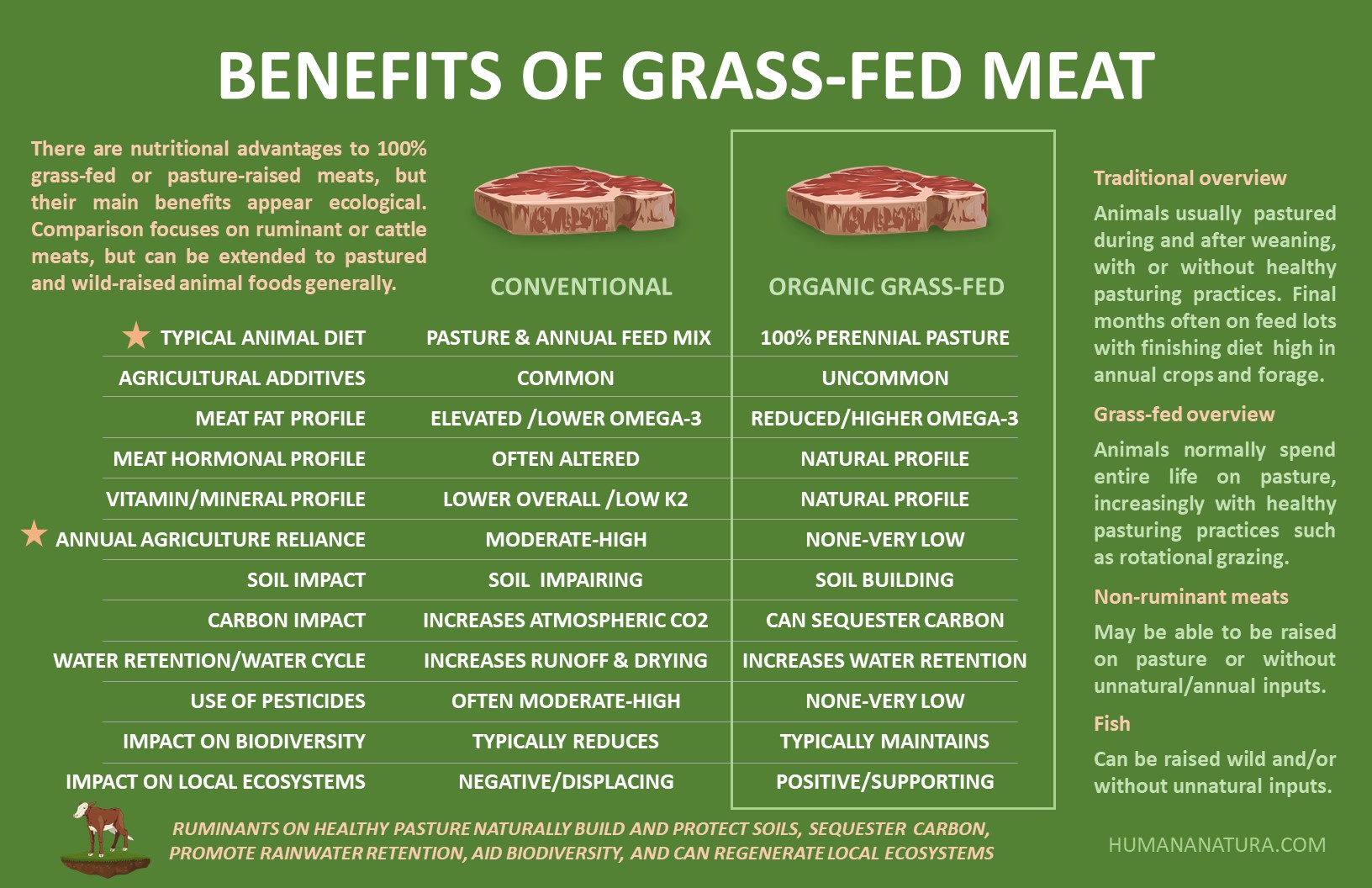 Grass-Fed Meat