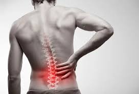 Active adults have less strong LBP