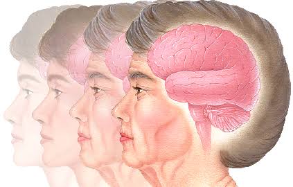 Is your brain failing....or REORGANIZING?