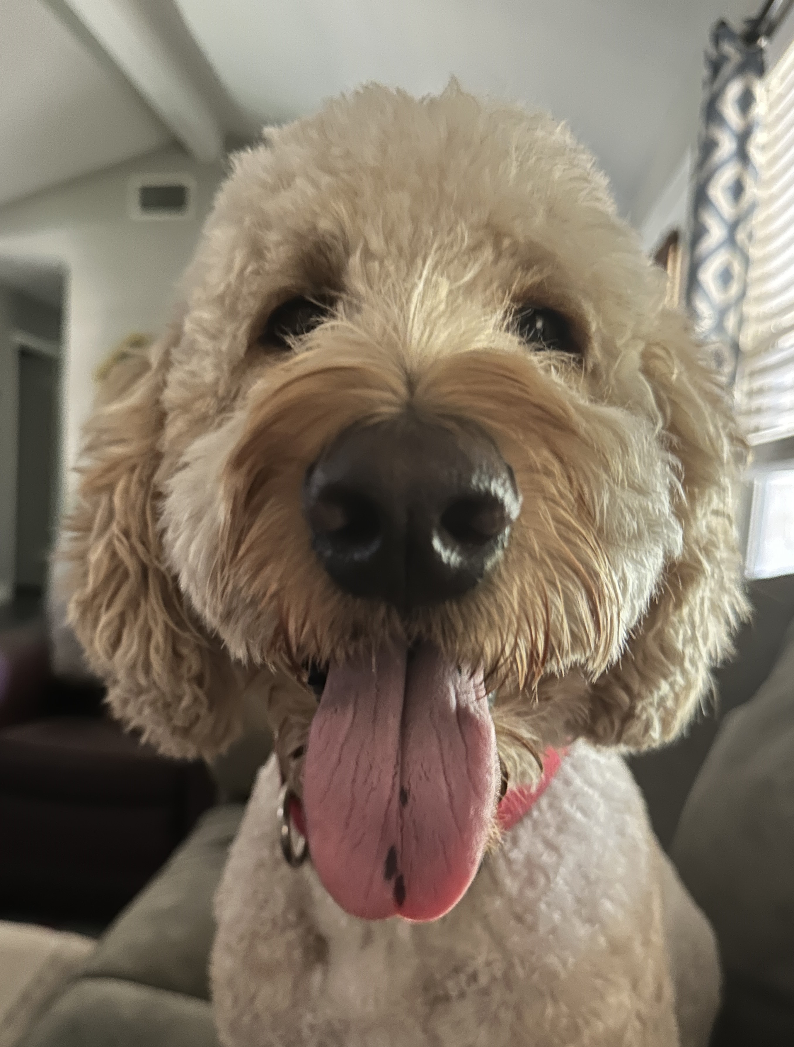 Murphy