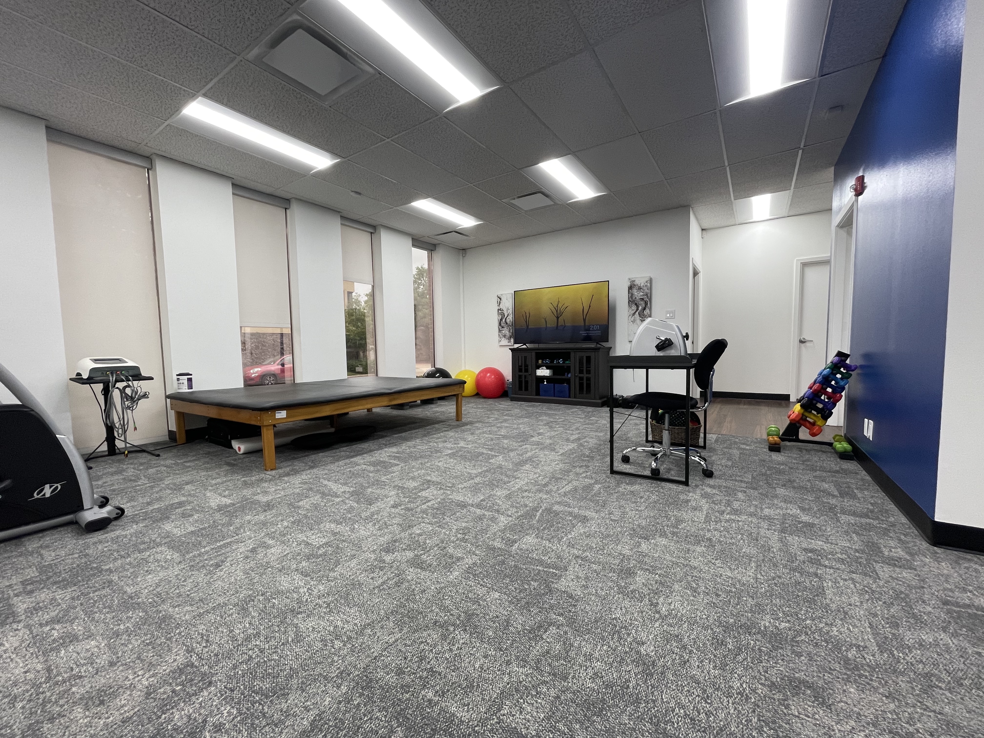 Physical Rehabilitation