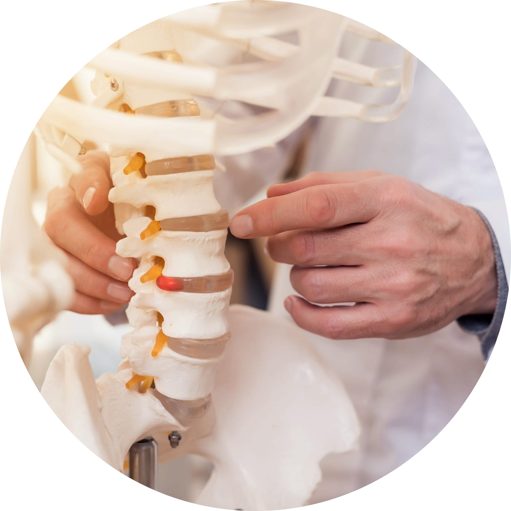 Chiropractic Adjustment