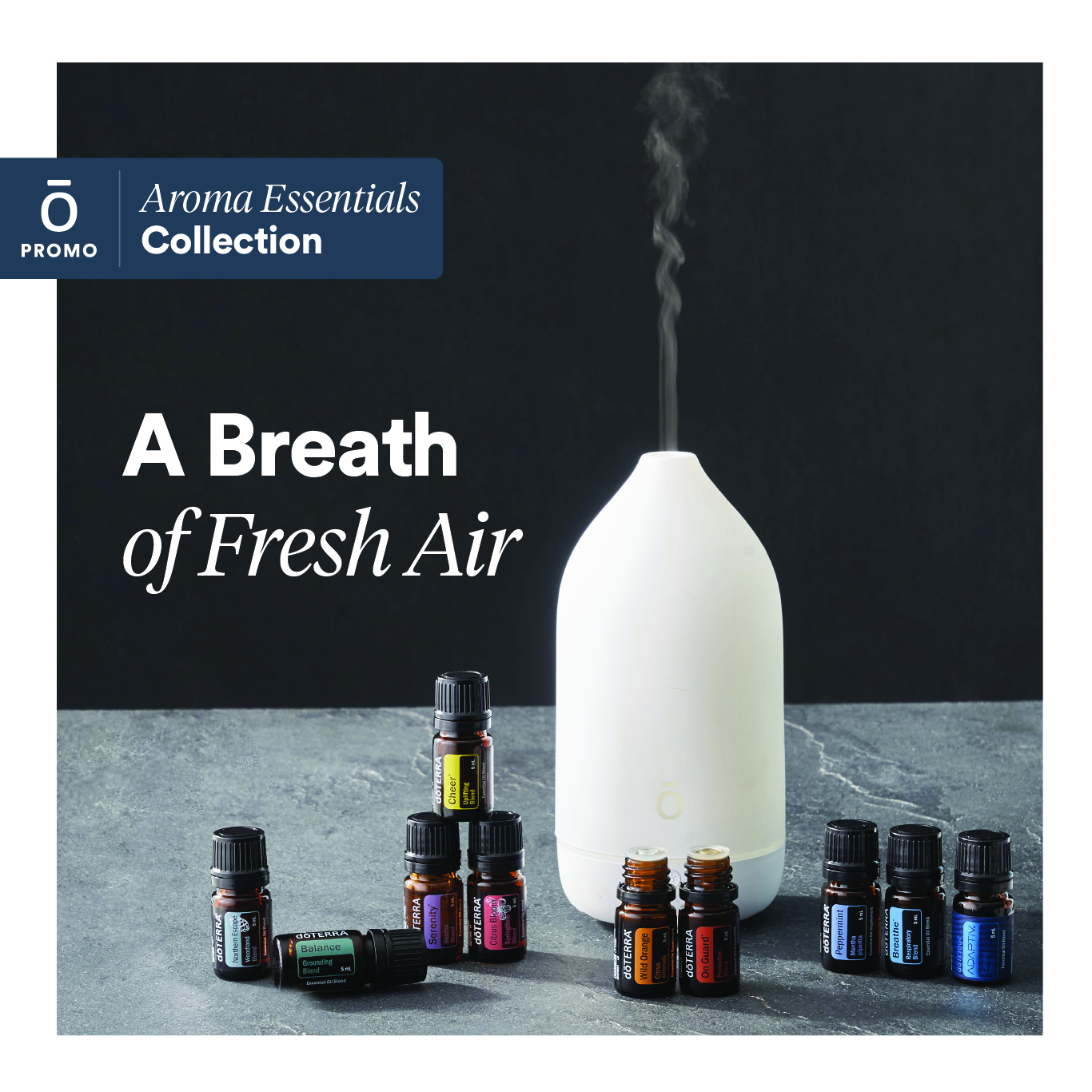 Say goodbye to toxins and hello to nature with the Aroma Essentials Collection!