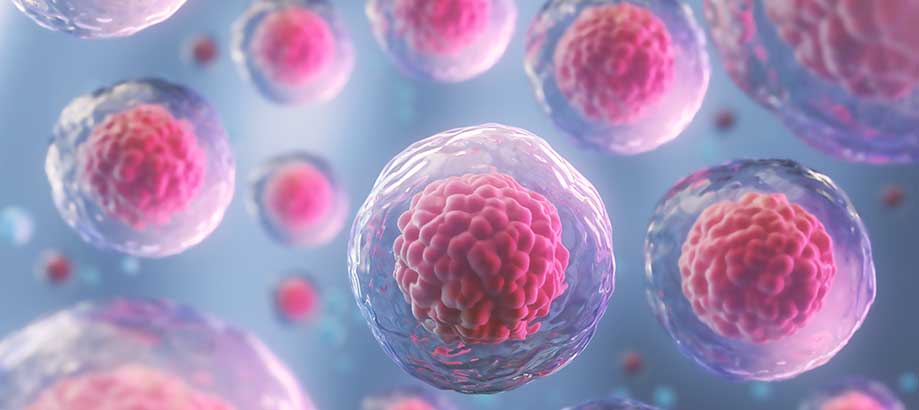 Human Cell Tissue Product (HCTP)
