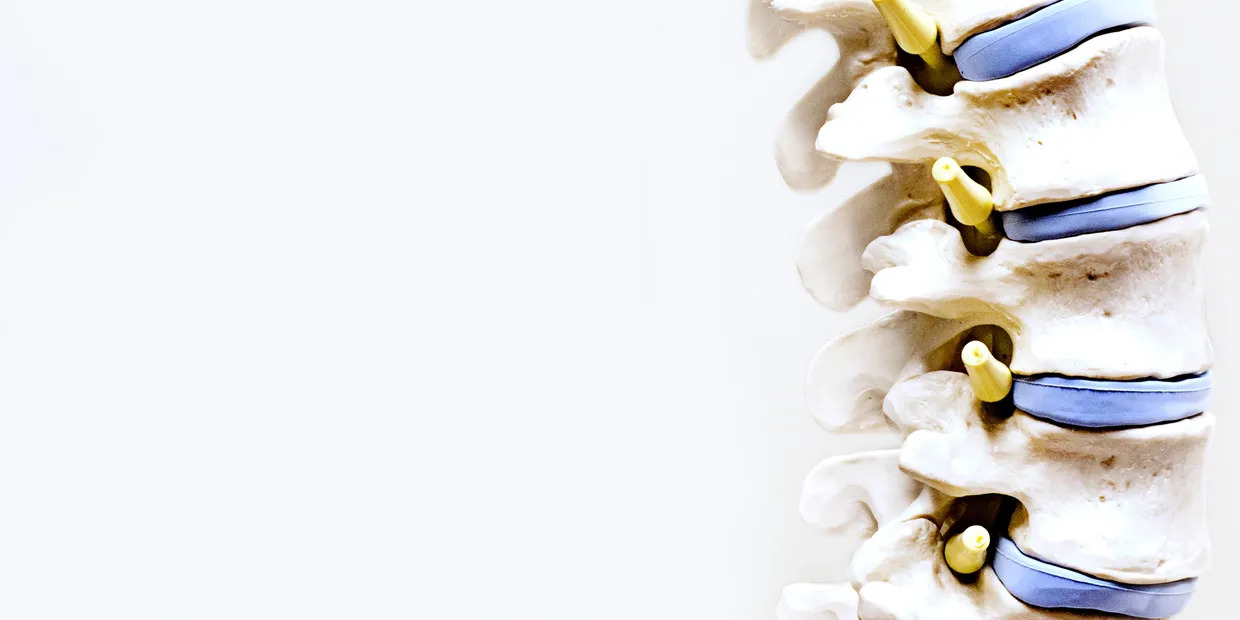 Chiropractic Care By Our Pain Specialists Can Help