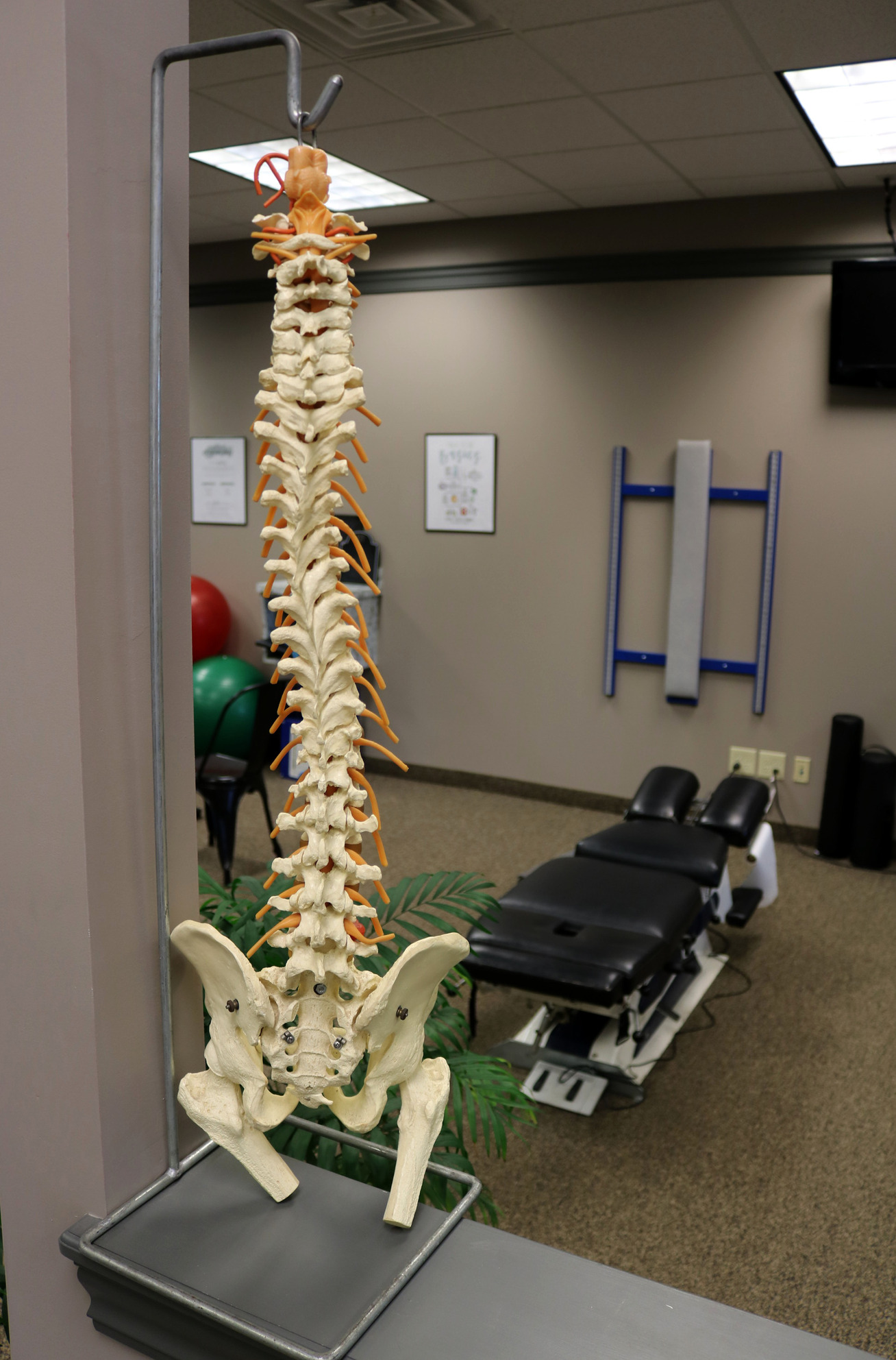 Spinal & Postural Screenings