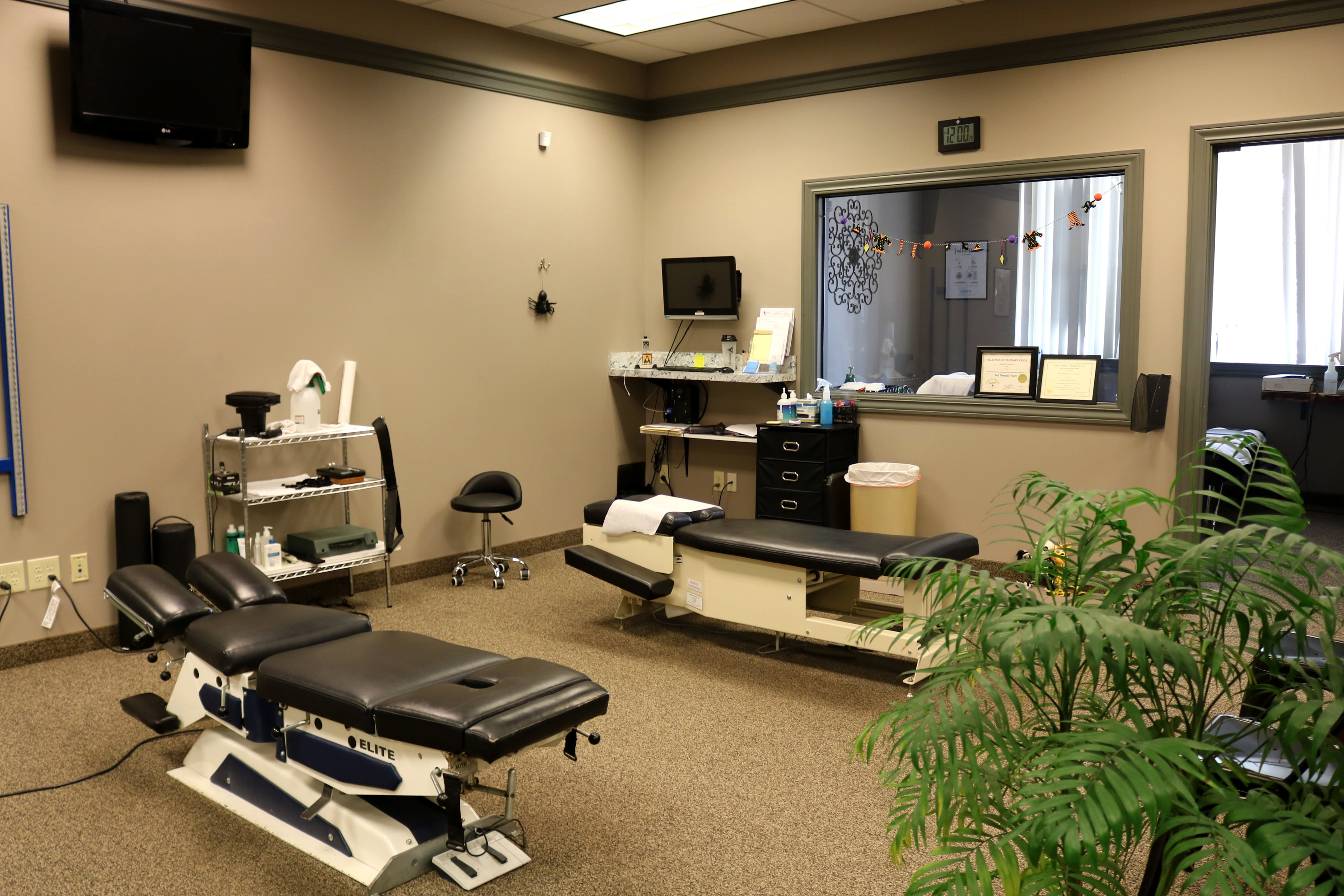 Chiropractic Adjustments 