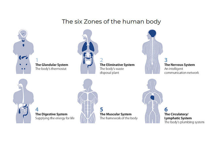 What is your ZONE?