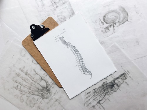 History of Chiropractic