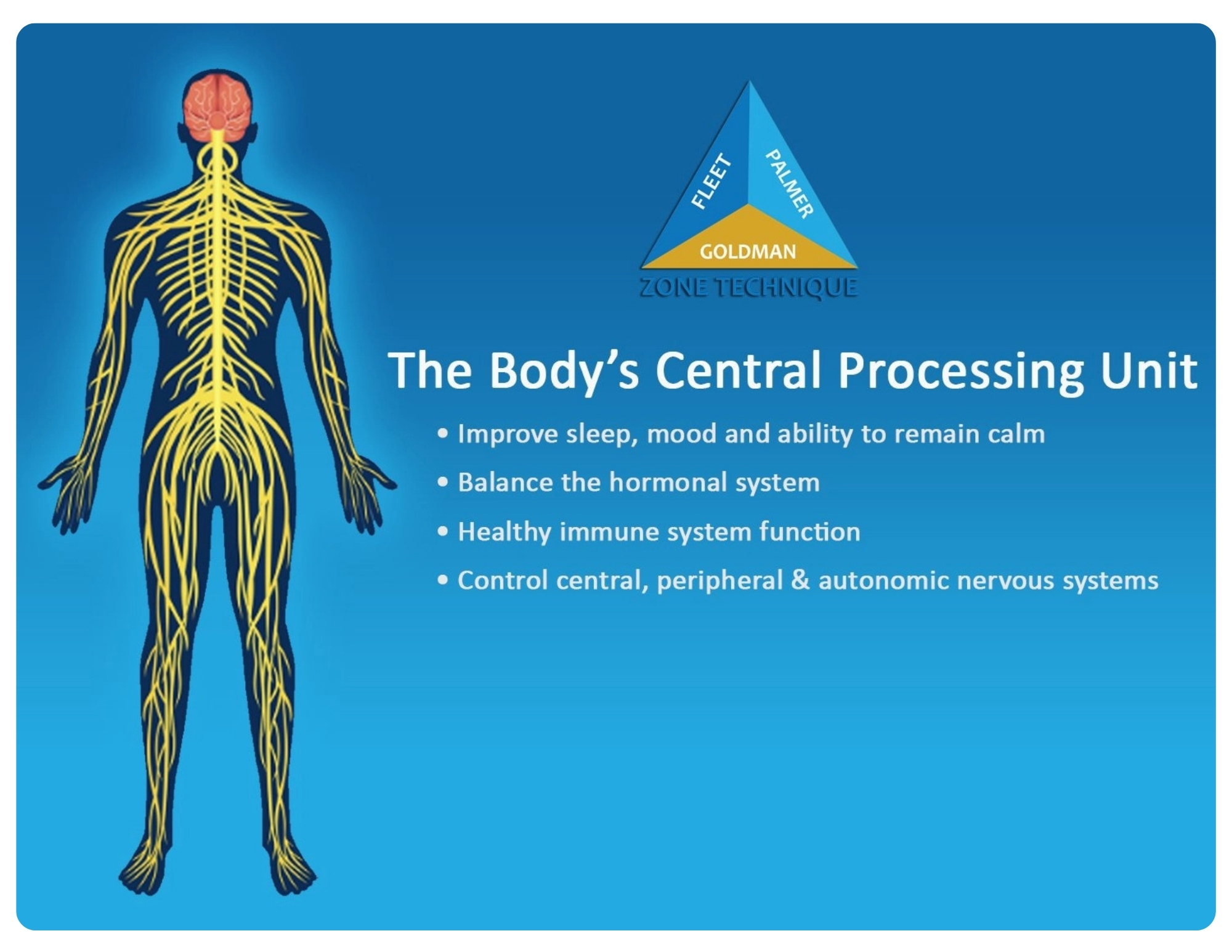Zone 3 - Nervous System