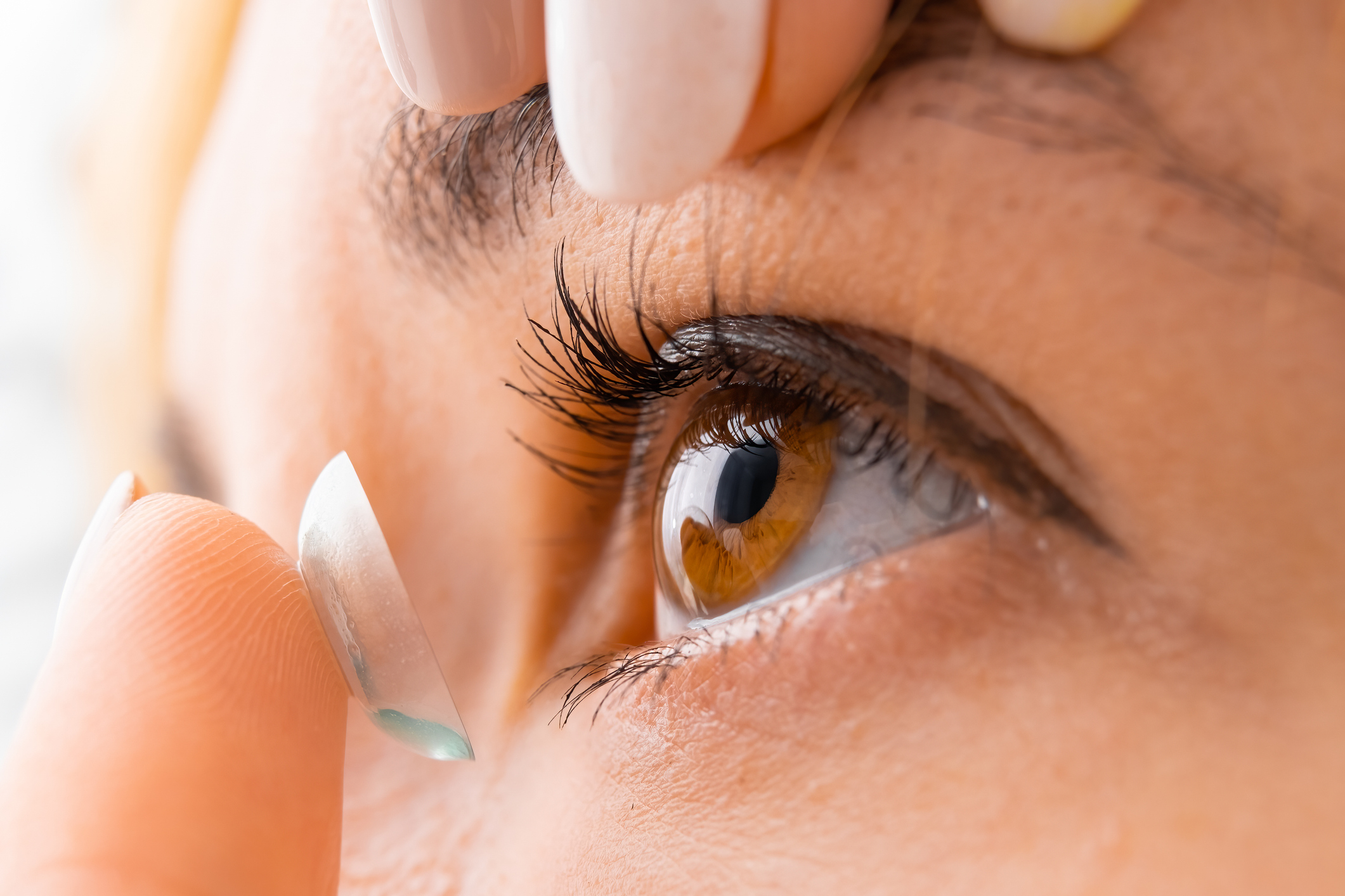 Contacts