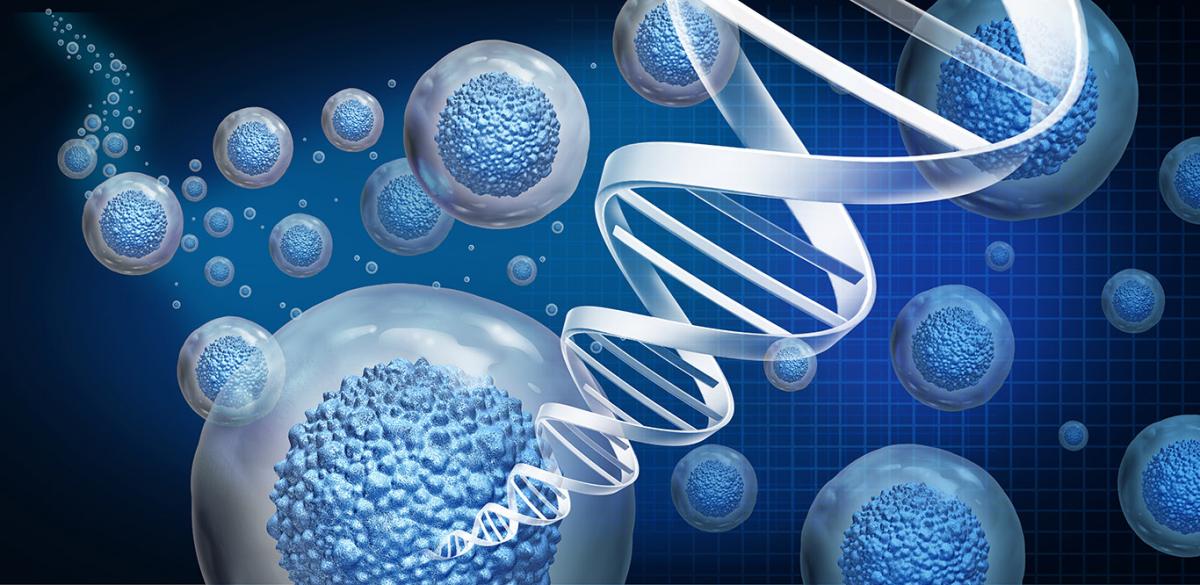 Regenerative Therapy: Is it Right for You?